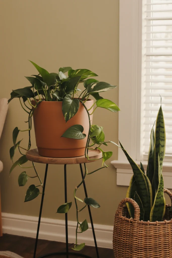 Add Greenery in Vintage-Style Planters